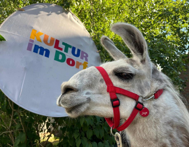 10-Hofgemeinschaft Neue Strasse 6 - Kultur im Dorf 2026