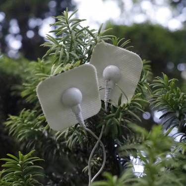 16-MG_1887._01psd-scaled