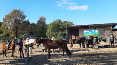 21-BrelingerPonykinder#